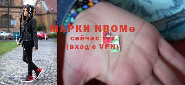 ешки Алексин